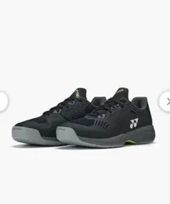 ソニケージ シューズ