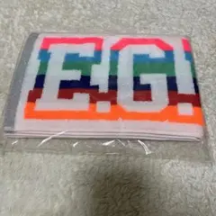 LDH マフラータオル　E-girls E.G.POWER2019