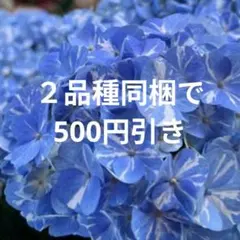 minaminosora k&co.様 リクエスト 2点 まとめ商品