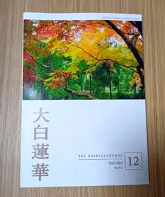 2026年最新】大白蓮華の人気アイテム - メルカリ