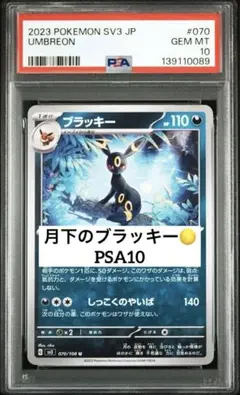 オークション ポケモンカードゲーム