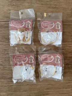 わんこのタイムカプセル　4個セット　ラテなし