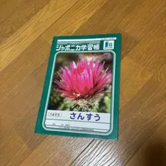 ❤️未使用❤️ ジャポニカ学習帳 14マス さんすう 学校用品 勉強道具