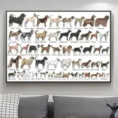 犬図鑑　アートポスター　インテリア　リビング　玄関　トイレ　大きいサイズ