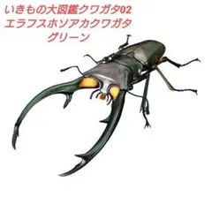 いきもの大図鑑アドバンス クワガタ02　エラフスホソアカクワガタ(グリーン)