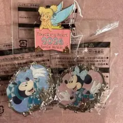 ディズニーシー 15周年 ピンバッチ 5種類セット ピンバッジ アブーズ