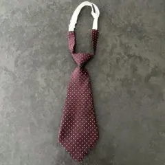 キッズデュオインターナショナル