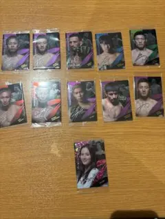 RIZINサイン入りトレーディングカード 11枚セット