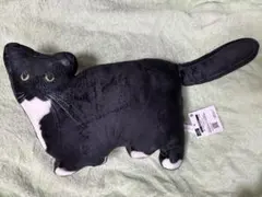 Item thumbnail for item 565030e4-63bd-4683-b702-1d5f7334e966