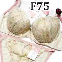 Item thumbnail for item 784936e5-7da2-4c5f-9f16-4eeea6e89277