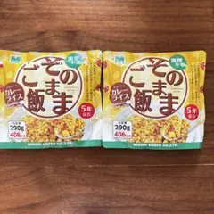 ミドリ安全 そのままご飯 カレーライス 2袋セット 非常食のサムネイル