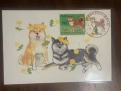 8.4.13 世界獣医師会大会記念印付きポストカード 手押印B - メルカリ