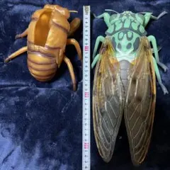 リアル昆虫フィギュア 昆虫　セミ