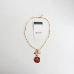LIZZIE FORTUNATO 編み込みレザー ネックレス - メルカリ