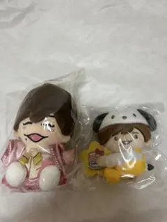 なにわ男子 長尾謙杜 ちびぬい サンリオマグネット ぬいぐるみセット