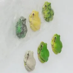 ニホンアマガエル マグネット 6種セット　ネイチャーテクニカラー フィギュア