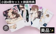 美しい彼 書籍セット　小説4冊セット　BL 映画しおり付き　美品