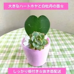 富岡義勇☆彡⚠️プロフ必読⚠️様 リクエスト 2点 まとめ商品