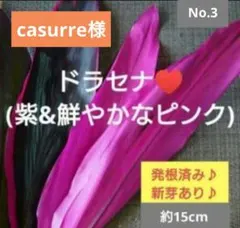 casurre様 リクエスト 3点 まとめ商品