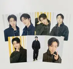 SEVENTEEN TOUR FOLLOW TO JAPAN トレカ THE8