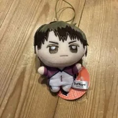 ハイキュー‼︎ ぬいぷりけmini2 牛島若利