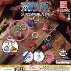 ワンピース　めじるしアクセサリー3 ハナハナの実