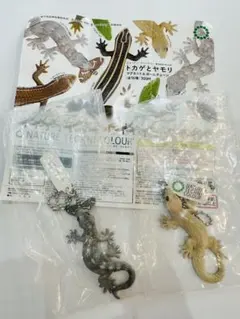 トカゲとヤモリ　ガチャ　ボールチェーン ニホンヤモリ ホオグロヤモリのサムネイル