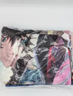 Item thumbnail for item 74e4c4d5-50e0-4132-ba3b-7d18a699ad16