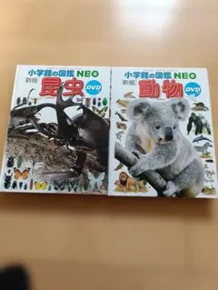 小学館の図鑑NEO 新版 昆虫DVDなし 動物 DVD付き 2冊セット