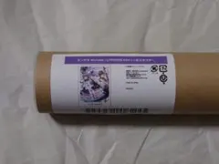 Item thumbnail for item 491a92b0-cbb5-4968-b587-d3829b78f047