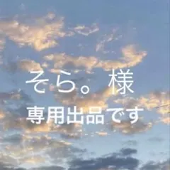 そら。様専用！ chocol raffine 1点