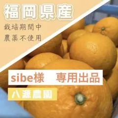 sibe様　専用出品