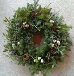 クリスマスリース 25-Ⅸ 針葉樹のリース ナチュラルリース　ドライフラワー