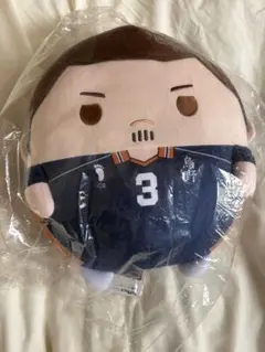 2025年最新】東峰旭 ふわコロりんの人気アイテム - メルカリ