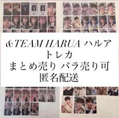 &TEAM HARUA ハルア トレカ チェキ まとめ売り バラ売り可 匿名配送