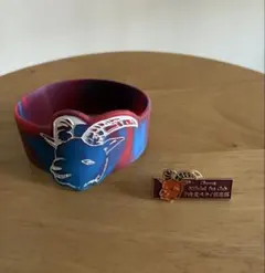 Chevon FC 早期入会特典ピンバッジ　トレカサイン入り　チェキサイン入り 2026年最新】Chevon ピンバッジの人気アイテム - メルカリ