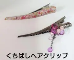 くちばしヘアクリップ 2つセット ヘアクリップ 装飾付きヘアアクセ