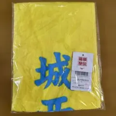 第101回箱根駅伝 城西大学　応援マフラータオル