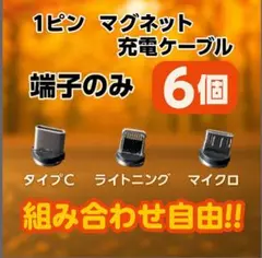 【超激安】便利 選べる端子 マグネット充電ケーブル 端子 6個 アダプター