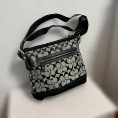 Item thumbnail for item 10ecbfea-0426-4d81-b217-048af60d952c