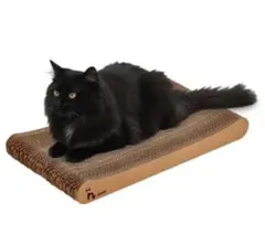 Item thumbnail for item c7700577-7416-4f23-8688-dd68d05f355f