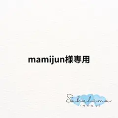 再販　選び取りカード ファーストバースデー1歳 誕生日 ベビー　一升餅