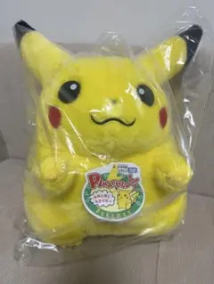 ポケモン30周年記念おかえり!ピカチュウ1/1