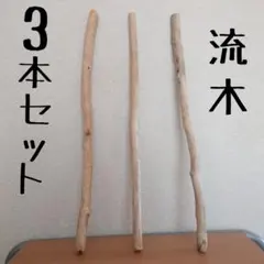 流木 約50cm 3本セット アドベントカレンダー ハンドメイド素材 　#6