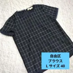 【美品】洗える　自由区　40 ブラウス　半袖　カットソー　Lサイズのサムネイル