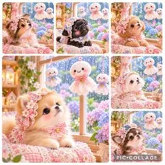 最新柄‼️10/5〆切り‼️パネル生地　チワワ ポメラニアン　シェルティ