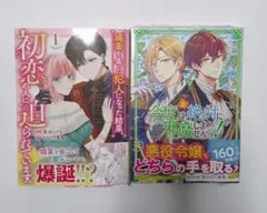 今度は絶対に邪魔しませんっ! 、媚薬を盛った犯人になった結果〜