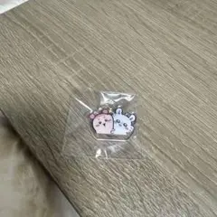 ちいかわ HOTなミニアクリルチャーム なかよし…？ モモンガ 古本屋