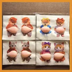 おなかぷにぷにシール　柴犬ネコ猫シール　スクイーズシール【8匹】