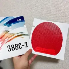 卓球 ラバー 表 ソフト ラバー 変化系 表 ソフトラバー 388C-2 Z3